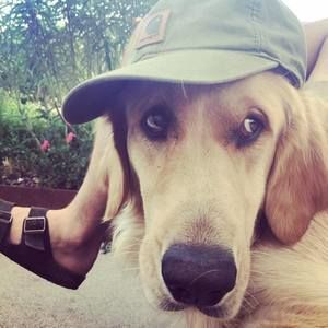 Meet your Posher, Aaron